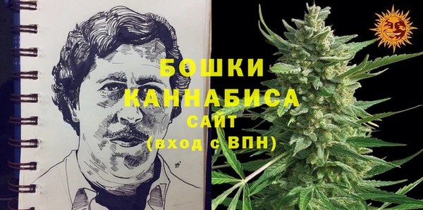 Альфа ПВП Каменка