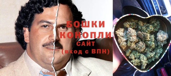 Альфа ПВП Каменка