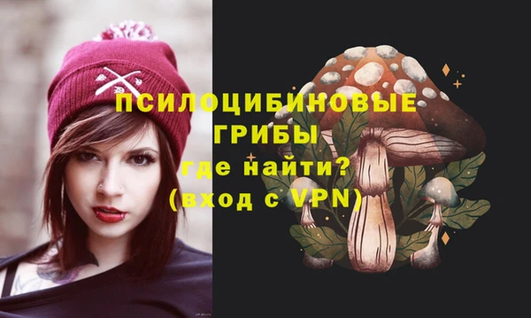 Альфа ПВП Каменка